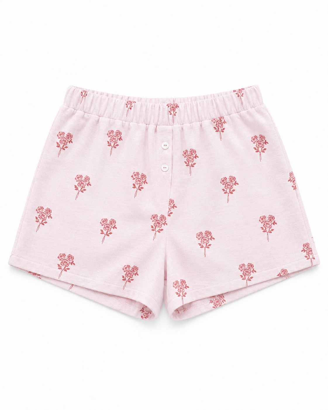 Coolotte Boxer