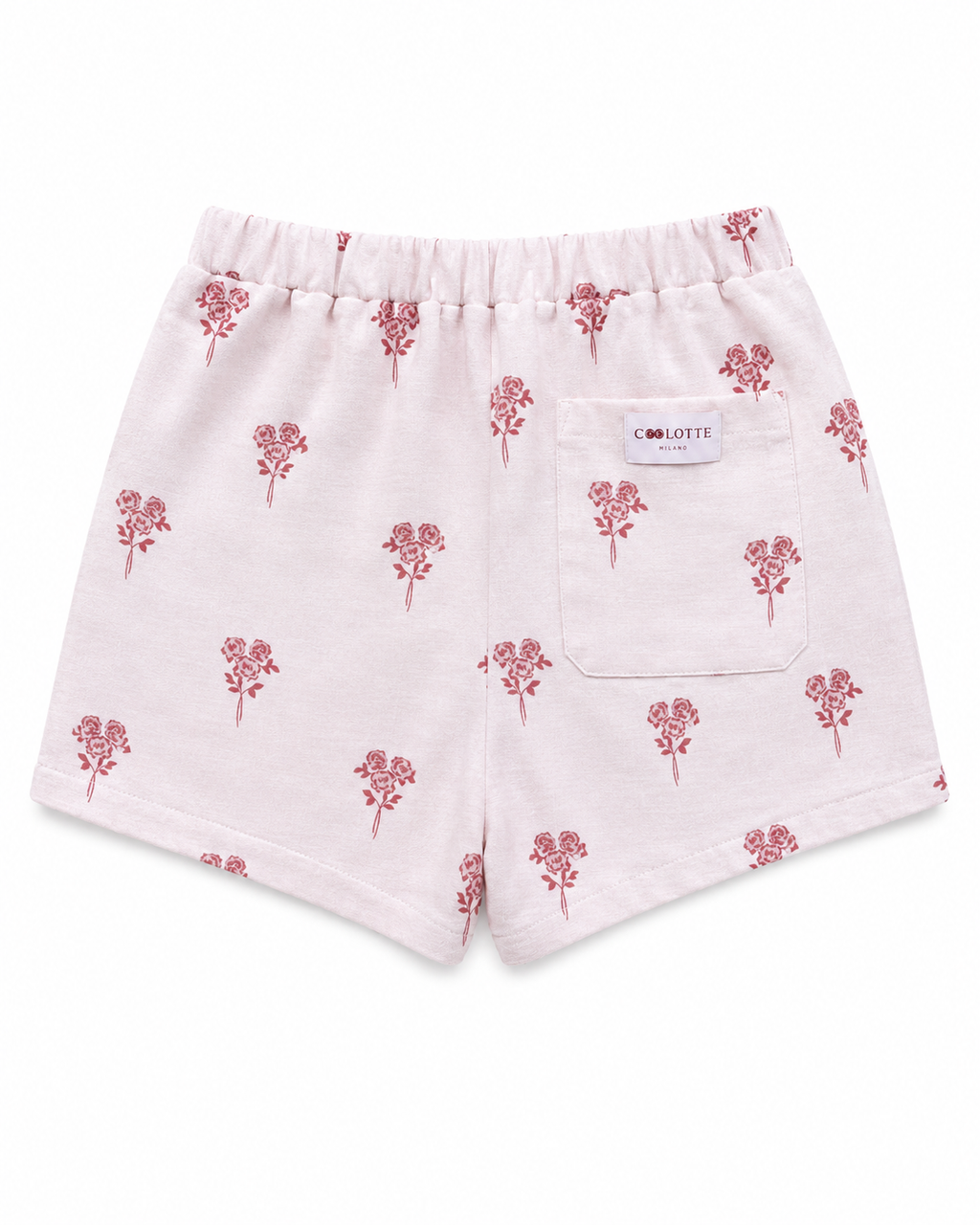 Coolotte Boxer