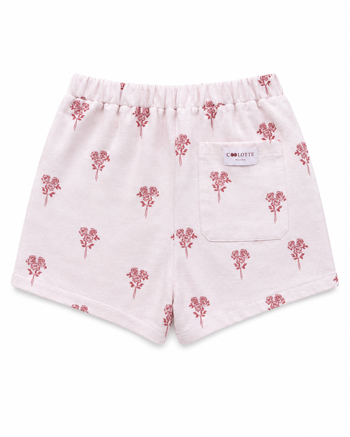 Coolotte Boxer
